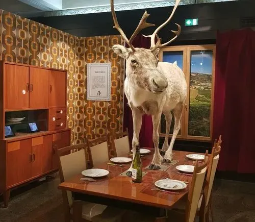 Bienvenue chez les Préhistos !