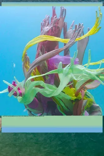 Clément Cogitore – Ferdinandea, l’île éphémère