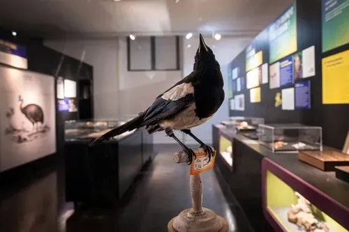 Collection permanente 2