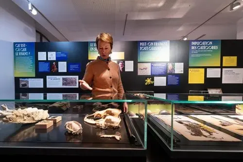 Collection permanente 3