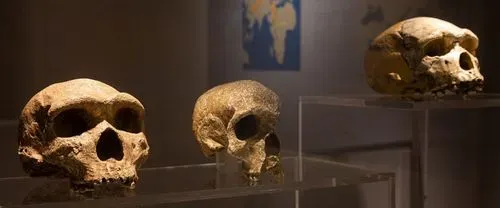 collection permanente