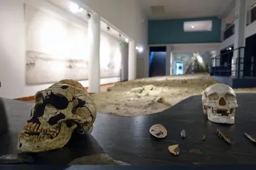 collection permanente 2