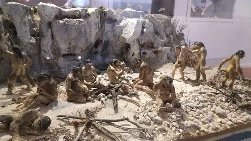 collection permanente 3