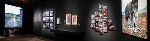 Collection permanente