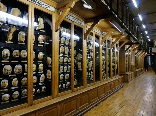 Collection permanente du Musée des Moulages