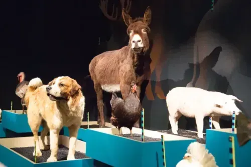 Domestique-moi si tu peux ! 2