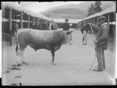 Domestique-moi si tu peux ! 3