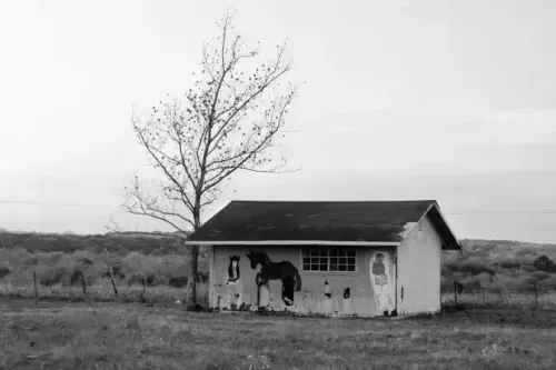 I can't stand to see you cry