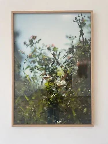 L’Écologie des relations - La Forêt amante de la mer 3