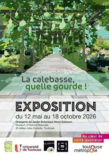 La calebasse, quelle gourde !