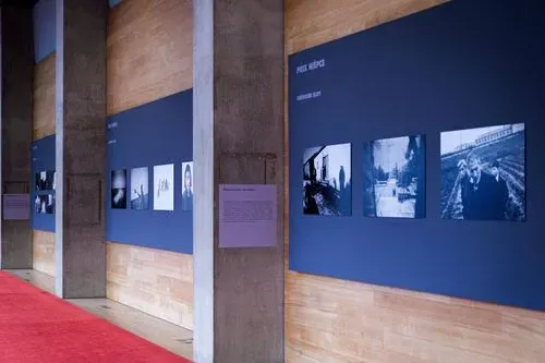 La photographie à tout prix. Une année de prix photographiques à la BnF