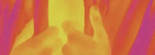 La vie climatique. Histoires sensibles des collections privées - Triennale De leur temps #8