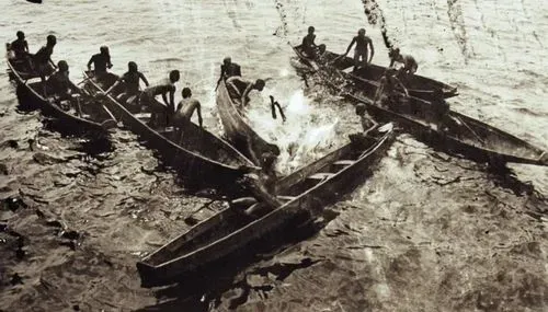 Les explorations photographiques d’Eugène Trutat