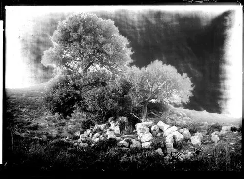 Les explorations photographiques d’Eugène Trutat 3