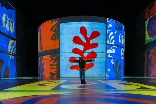 Matisse : La symphonie des couleurs 2