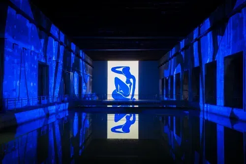 Matisse : La symphonie des couleurs 3