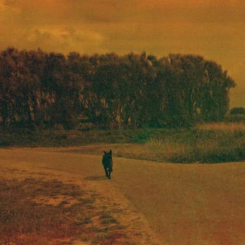 Nanténé Traoré — pays des merveilles