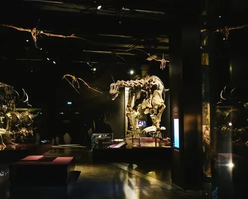 Origines, les récits du monde 3