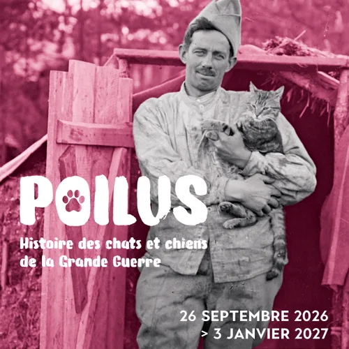 Poilus