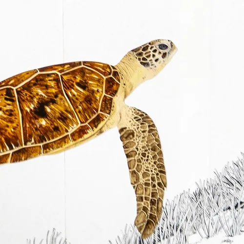 Reptiles de la Réunion