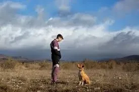 SOL ! La biennale du territoire #3 2