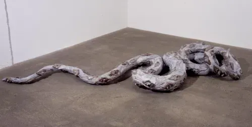 STUDIO, WOUNDS AND BATTLES, DESIRE IS THE REITERATION OF HOPE 2