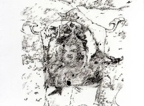 “Sutures” - Encres et fusains de Sandra Ghosn 2
