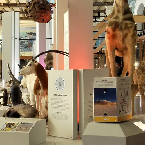 Terre d’évolution