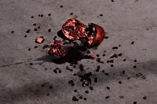 The moon belongs to everyone 3