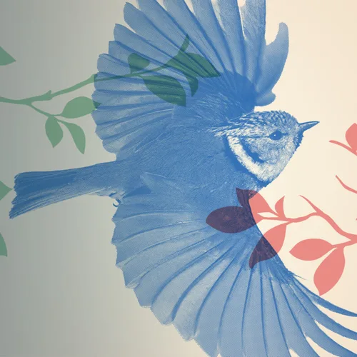 Tous à plumes!
