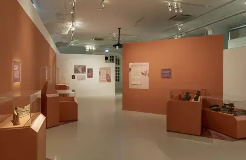 Un passé incontournable. Découvertes archéologiques de l'A355