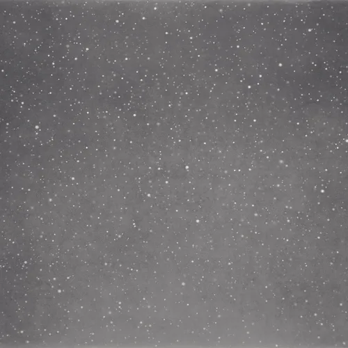 Vija Celmins