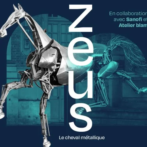 Zeus, le cheval métallique au MuAM
