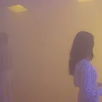 Ann Veronica Janssens