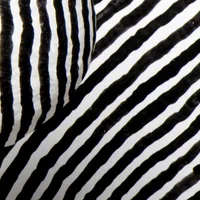 Bernard Reyboz : Hors norme