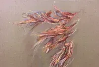 Expo flash - Mare Fecit
