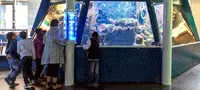 L'aquarium