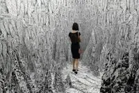 Le bruissement de la terre - Anaïs Lelièvre