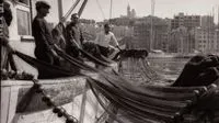 Les Detaille : Marseille révélée par la photographie, 1860–2024