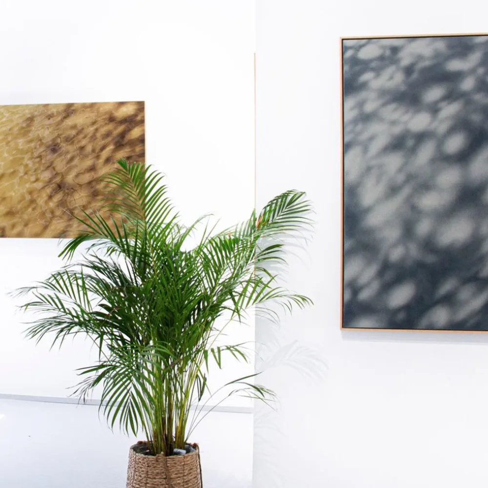Galerie Diego Escobar 3