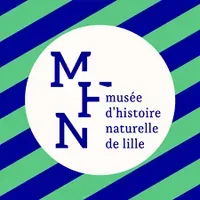 Musée d'Histoire Naturelle de Lille
