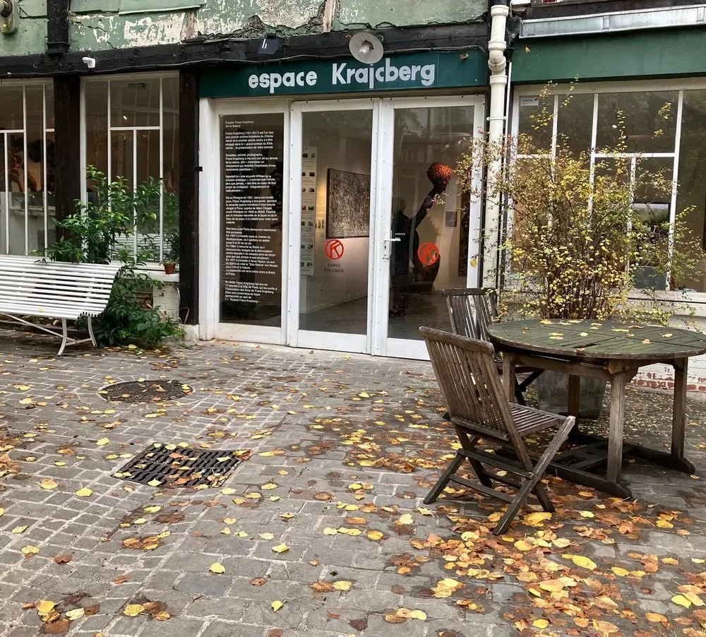 Espace Frans Krajcberg 3