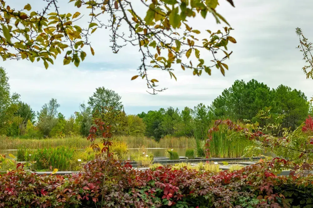 Jardin Botanique de Bordeaux
