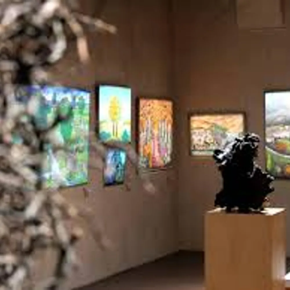 MANAS | Musée d'Art Naïf et d'Arts Singuliers 2