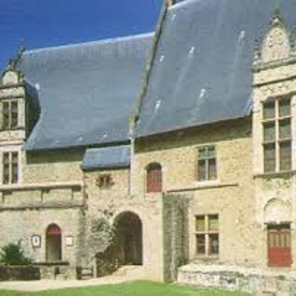 MANAS | Musée d'Art Naïf et d'Arts Singuliers 3
