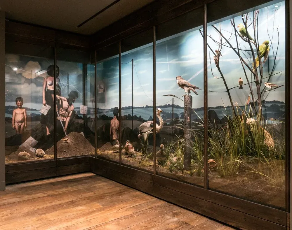 Musée de la Chasse et de la Nature 2