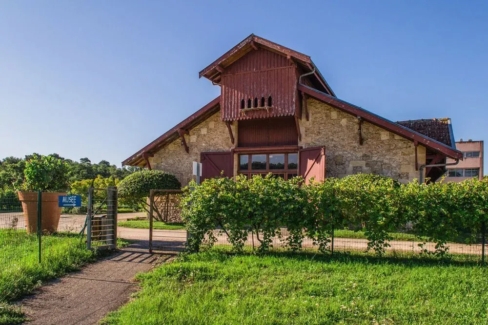 Musée de la Vigne et du Vin