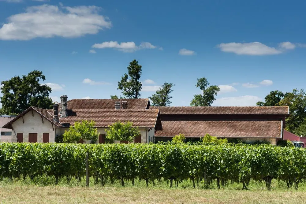 Musée de la Vigne et du Vin 2