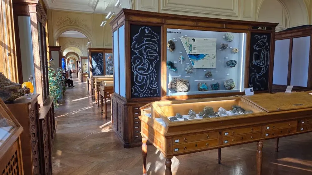 Musée de Minéralogie - Mines Paris - PSL 2