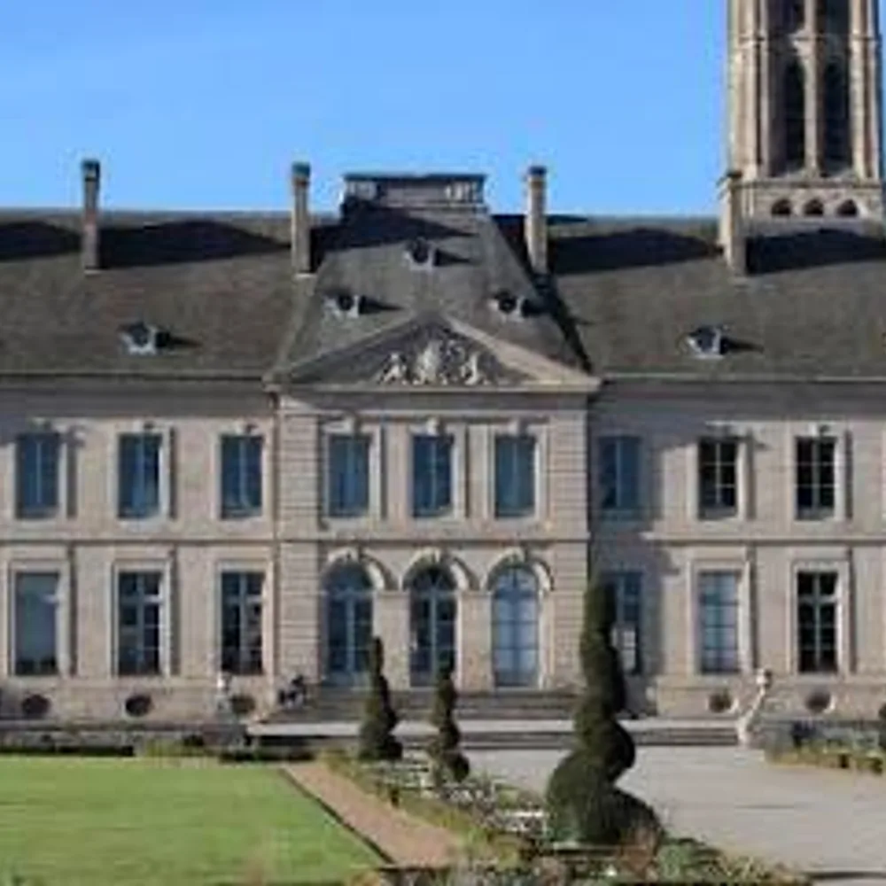Musée des Beaux-Arts de Limoges 2
